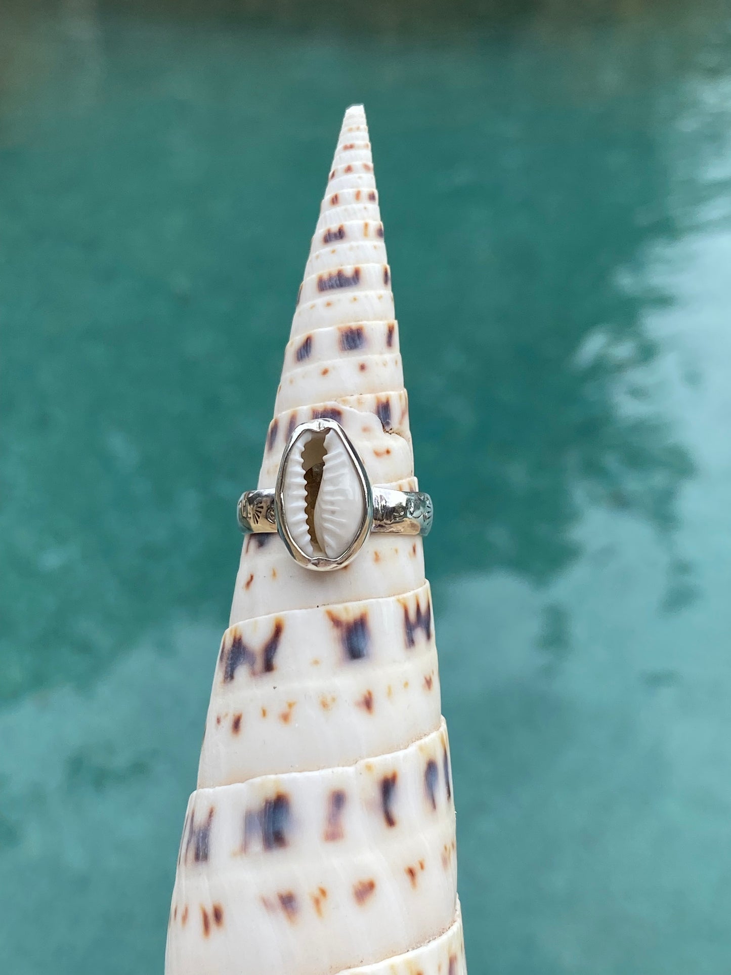 The MINI Beach Ring - SIZE 8